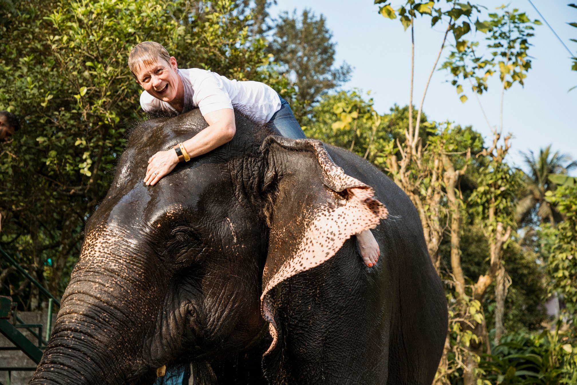 Riding an Elephant